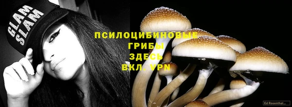 первитин Белоозёрский