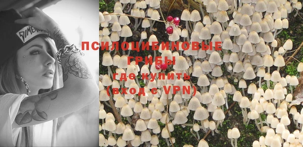 2c-b Белокуриха